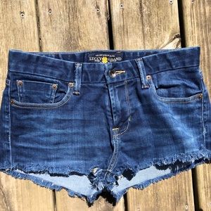 Vintage Cutoff Denim Shorts